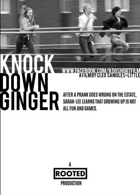 Knock Down Ginger (2016) Poster